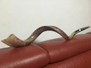 Kudu Yemenite HORN SHOFAR Kosher full Polished approx 45"-46" judaica israel