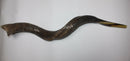 26"-27"Natural Authentic Kosher Yemenite Kudu Horn Shofar Jewish - Israel