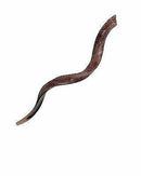 Jumbo HUGE 41" Kudu Yemenite HORN SHOFAR Kosher All Polished