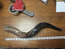 Kudu (Yemenite) Horn Shofar 24''-27'' New & KOSHER Made in  Israel