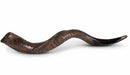 Half polished natural Judaica Kosher 60-70 cm Yeninite Kudu Shofar horn Israel