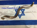 Jumbo HUGE 49" Kudu Yemenite HORN SHOFAR Kosher All Polished