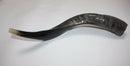 half polished natural judaica kosher 60-70 cm yeninite kudu shofar horn Israel