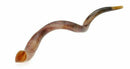 Kudu Yemenite HORN SHOFAR Casher complet Poli approx32 "-34"...