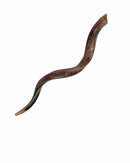 Kudu Yemenite HORN SHOFAR Casher complet Poli approx32 "-34"...