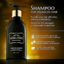 Premium Argan Oil Shampoo with Keratin- Sulfate Free Shampoo Safe For All Hair