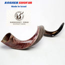 Kudu Yemenite HORN SHOFAR Kosher HELF Polished approx 45"-46" judaica israel