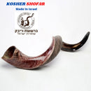 41'' half polished kosher kudu horn shofar.Starting Notes: E+-,F+-,G+