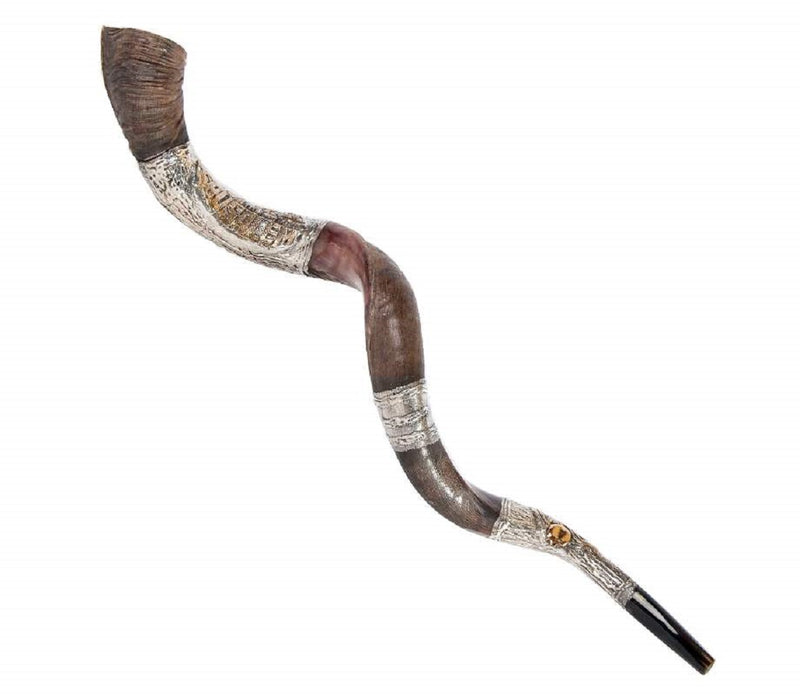 108 CM sterling silver plated polished yemenite kudu horn shofar.OLD JERUSALEM