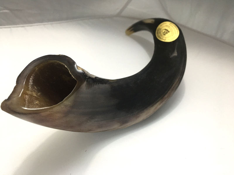 Kudu Yemenite HORN SHOFAR Kosher full Polished approx 19" judaica israel