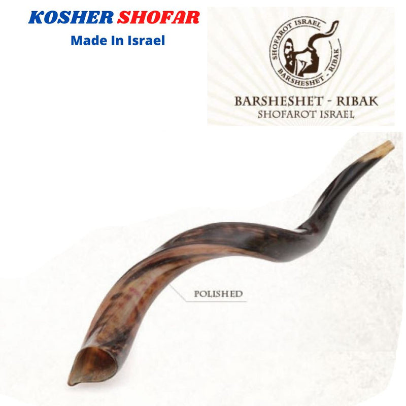 Kudu Yemenite HORN SHOFAR Kosher full Polished approx 19" judaica israel