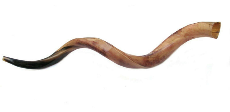 Kudu Yemenite HORN SHOFAR Kosher full Polished approx 28"-31"