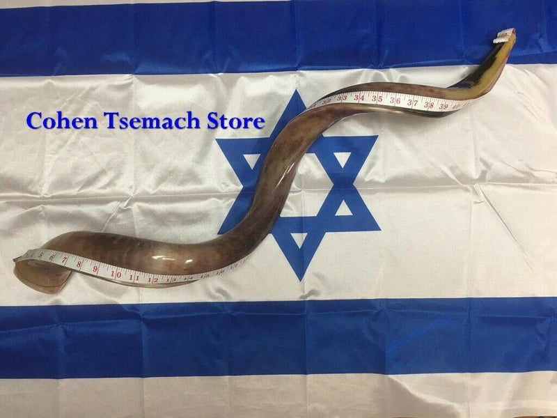 Kudu Yemenite HORN SHOFAR Kosher full Polished approx 28"-31"