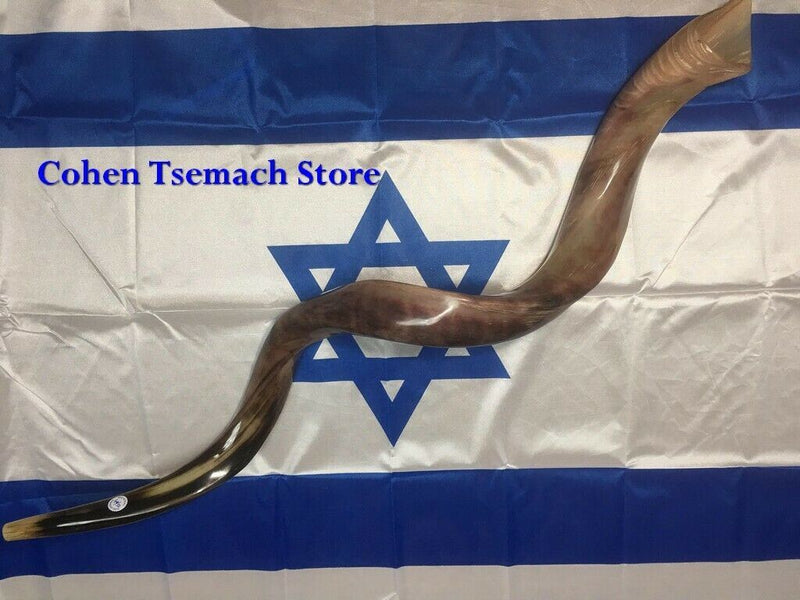 Kudu Yemenite HORN SHOFAR Kosher full Polished approx 28"-31"