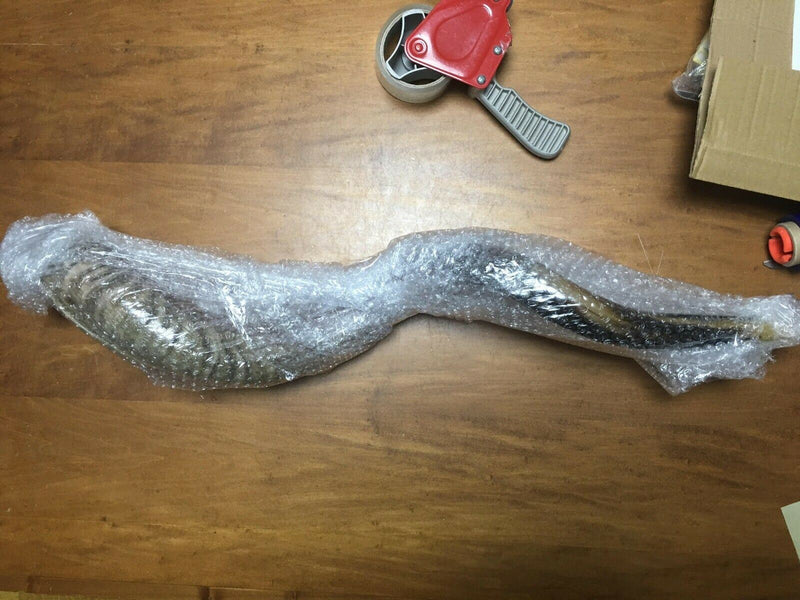 Kudu Yemenite HORN SHOFAR Kosher full Polished approx 28"-31"