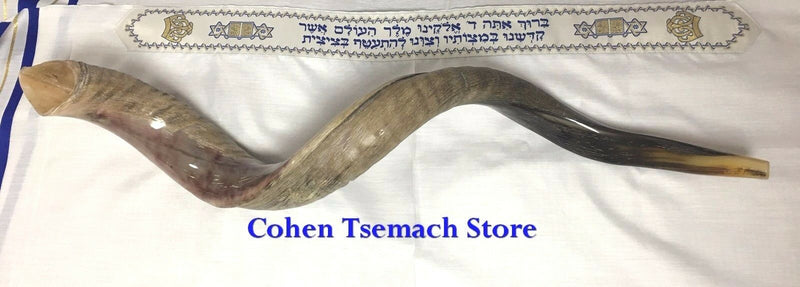 kudu yemenite horn shofar 40"-42" 100-106 cm kosher half natural polish chofar