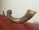 Kudu Yemenite HORN SHOFAR Kosher full Polished approx 45"-46" judaica israel