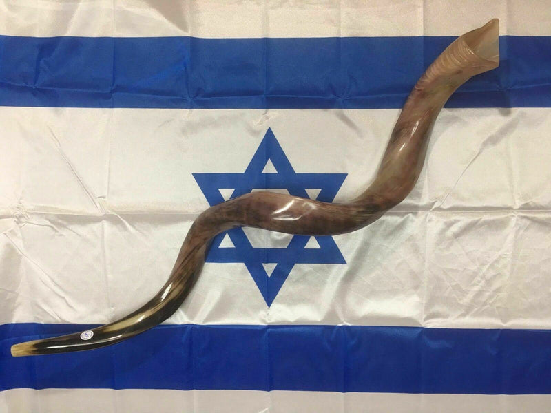 Kudu Yemenite HORN SHOFAR Kosher full Polished approx 45"-46" judaica israel