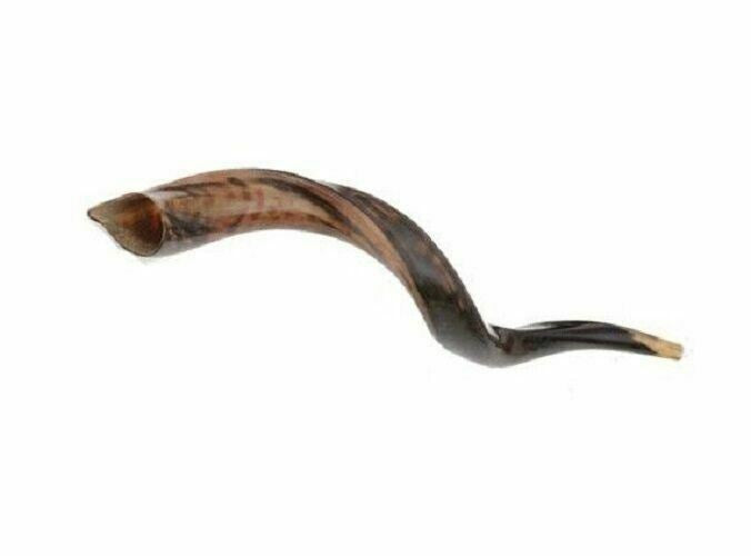 Half polished natural Kosher 60-70 cm Yeninite Kudu Shofar horn Israel