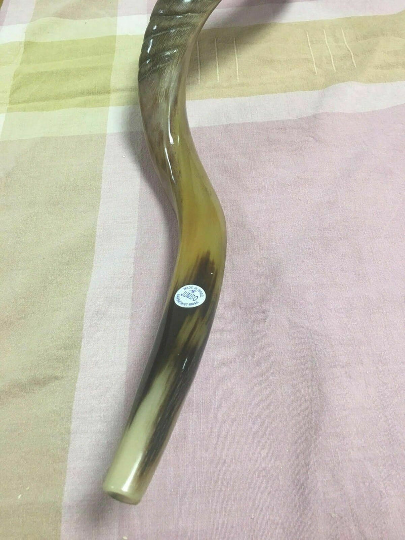 Half polished natural Kosher 60-70 cm Yeninite Kudu Shofar horn Israel