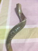 37-40" half Polished approx Kudu Yemenite HORN SHOFAR Kosher judaica israel