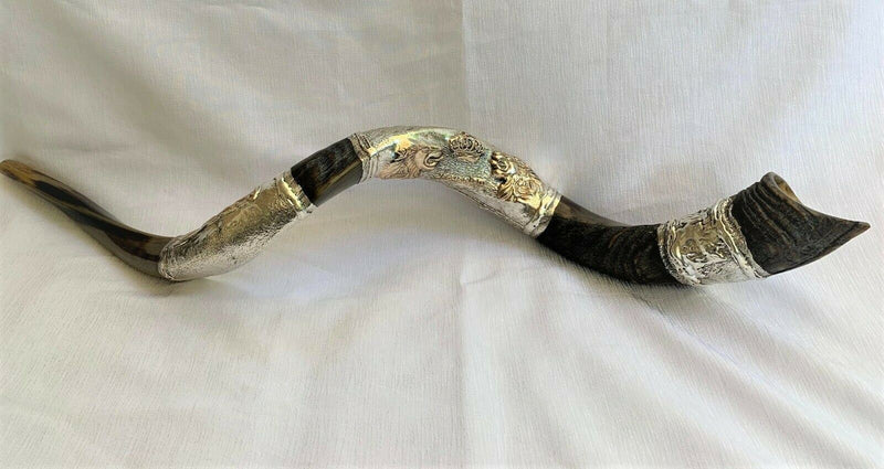 Amazing Silver - plated 45" Yemenite Horn Shofar Kudu Lion