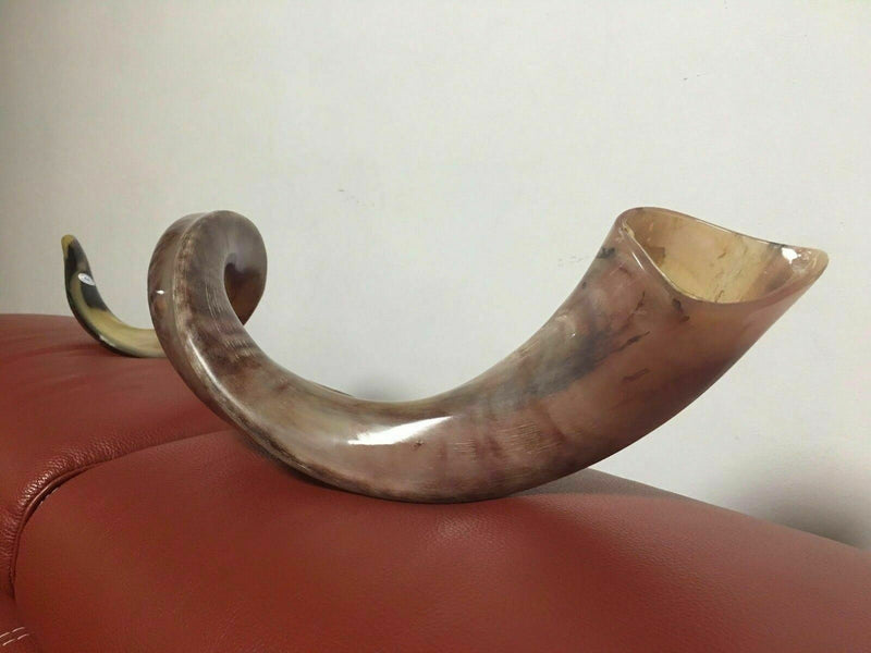 Kudu Yemenite HORN SHOFAR Kosher full Polished approx 48" judaica israel