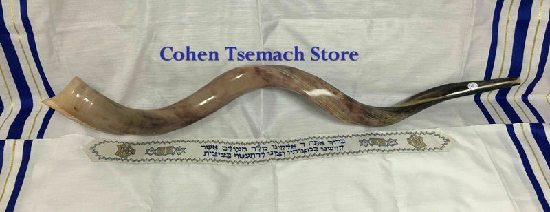 Kudu Yemenite HORN SHOFAR Kosher full Polished approx 48" judaica israel