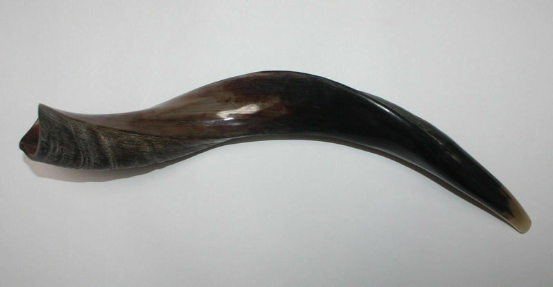 Yemenite Kudu Horn Shofar 16''-19'' New KOSHER Made in Jerusalem