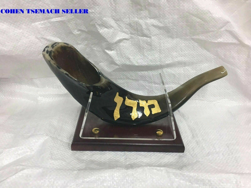 shofar 15"-17" ram horn shofar hand painted very special rabbi ovadia + stand