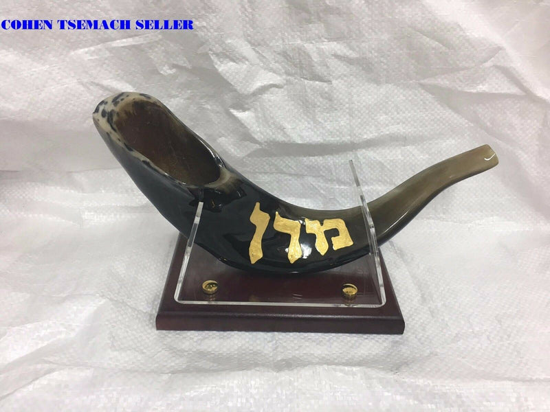 shofar 15"-17" ram horn shofar hand painted very special rabbi ovadia + stand