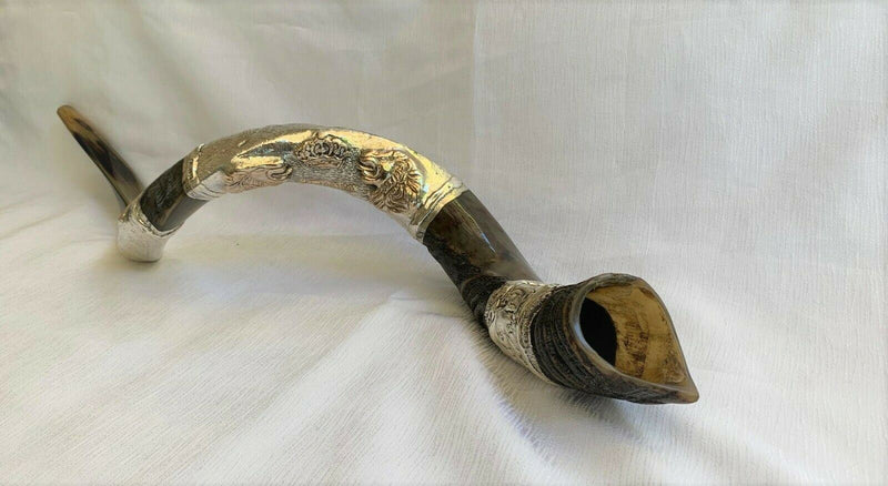 amazing silver - plated 45" yemenite horn shofar kudu lion new