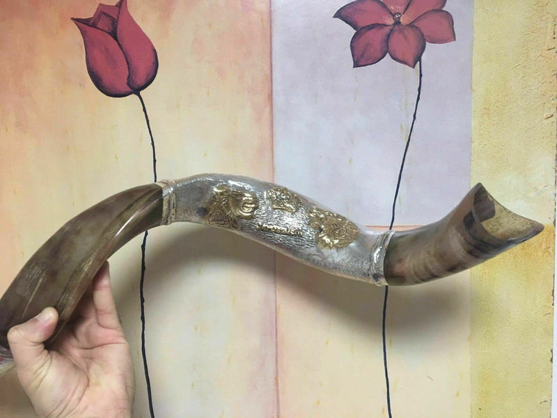 amazing silver - plated 45" yemenite horn shofar kudu lion new