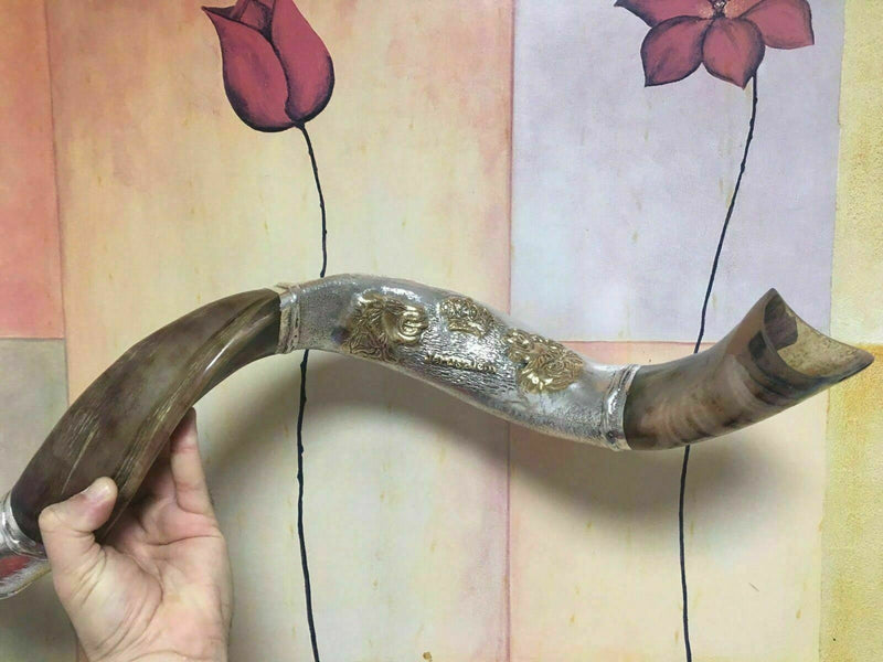 amazing silver - plated 45" yemenite horn shofar kudu lion new