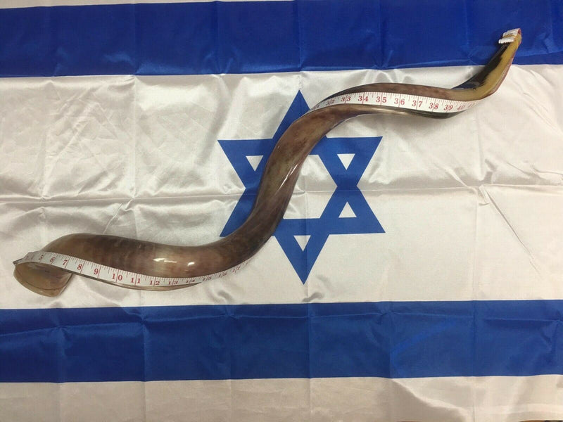 37" Kudu Yemenite HORN SHOFAR Kosher All Polished New