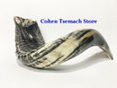 Kosher Black Polished Rams Horn Shofar Size 15"