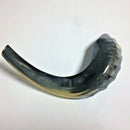 Kosher Black Polished Rams Horn Shofar Size 15"