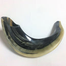 Kosher Black Polished Rams Horn Shofar Size 15"