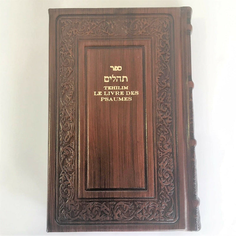 français hébreu psaumes hebrew psalms translated hebrew franch psalms leather