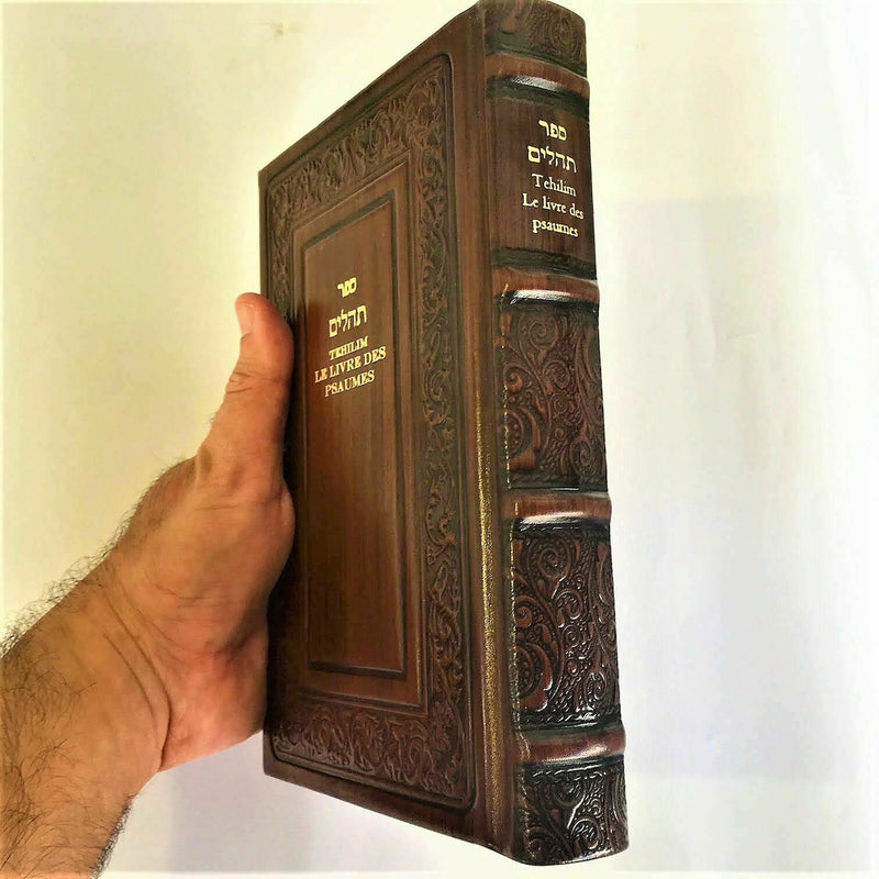 français hébreu psaumes hebrew psalms translated hebrew franch psalms leather