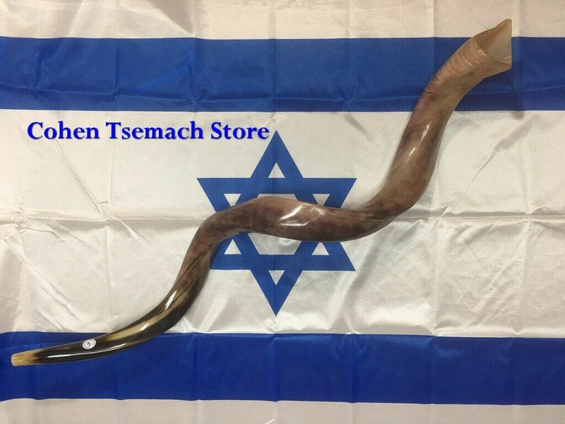 Sale For chofar Kudu Yemenite Horn Shofar 35"-39" |90-99 CM Kosher All Polished