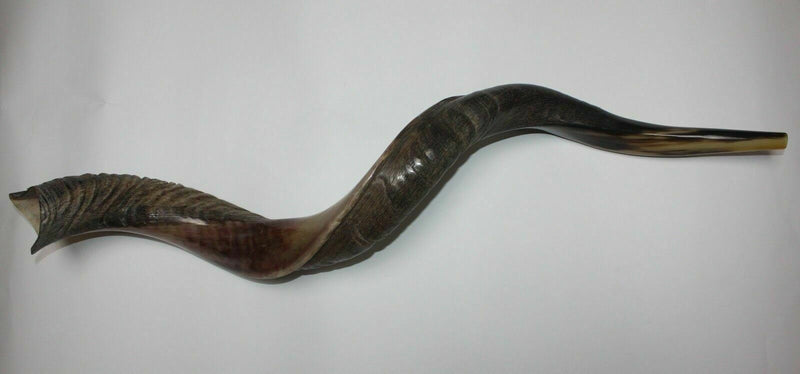 Kudu (Yemenite) Horn Shofar 24''-27'' New & KOSHER Made in Israel