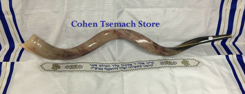 Kudu Yemenite HORN SHOFAR Kosher full Polished approx 49" judaica israel new