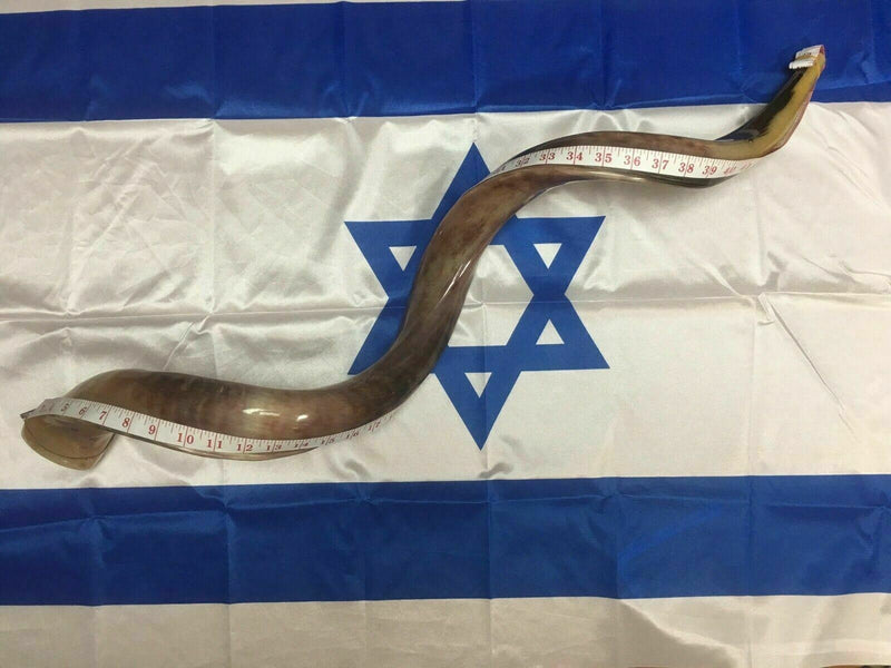 Kudu Yemenite HORN SHOFAR Kosher full Polished approx 49"judaica israel