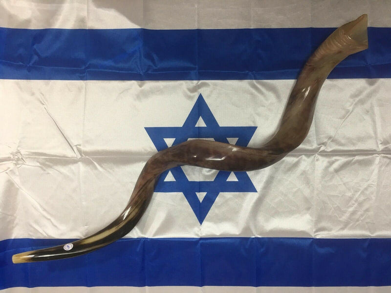 37" Kudu Yemenite HORN SHOFAR Kosher All Polished New