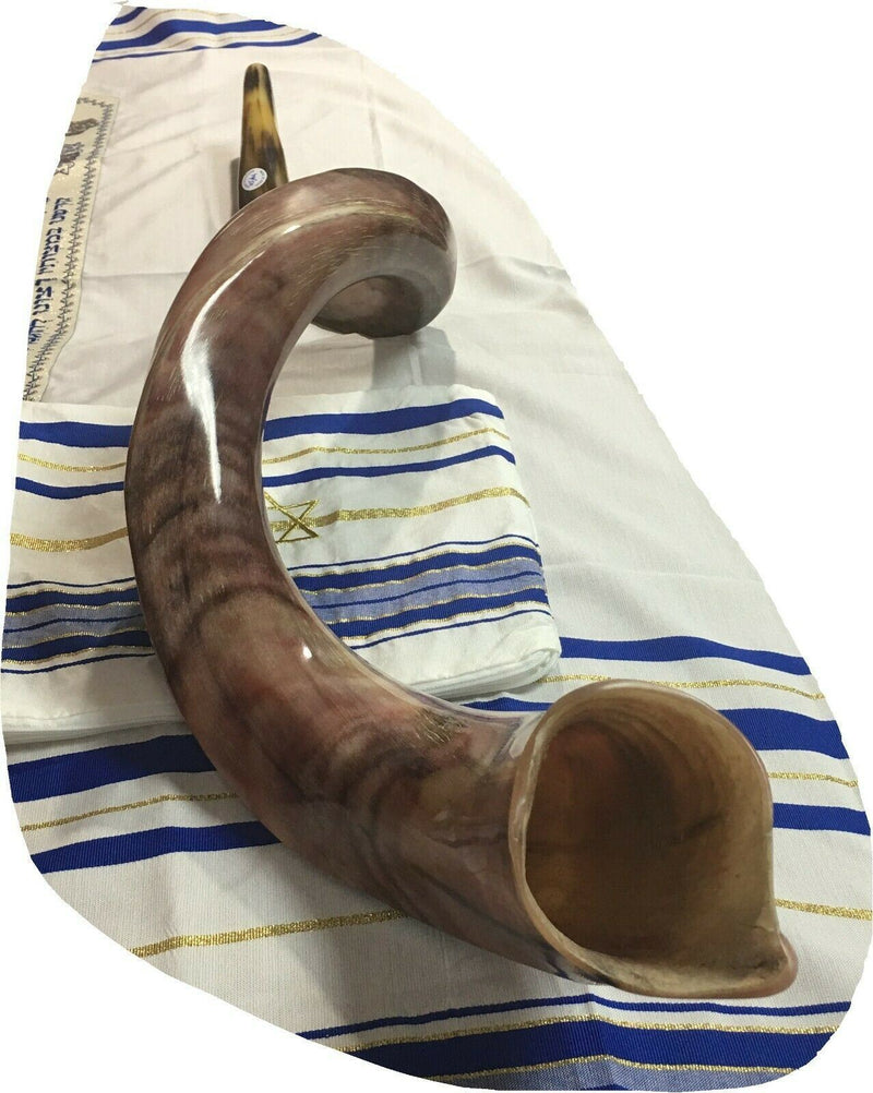 37" Kudu Yemenite HORN SHOFAR Kosher All Polished New