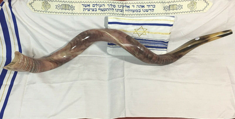 37" Kudu Yemenite HORN SHOFAR Kosher All Polished New