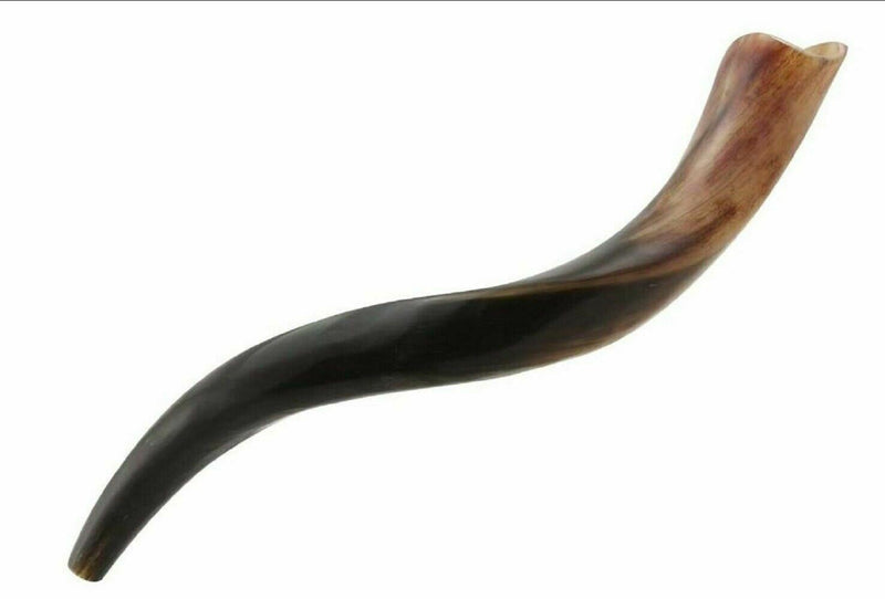 Yemenite Kudu Horn Shofar 20''-22'' New KOSHER Made in ISRAEL ✡