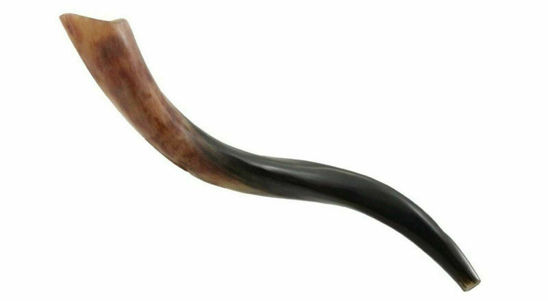 Yemenite Kudu Horn Shofar 20''-22'' New KOSHER Made in ISRAEL ✡