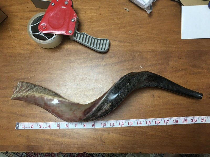 SALE Yemenite Kudu Horn Shofar 28''-31" KOSHER Made in ISRAEL ✡